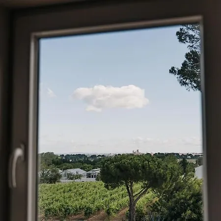 Familial Au Coeur Des Vignes * Béziers